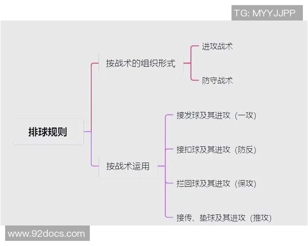 排球焦点：西安排球队的战术探讨
