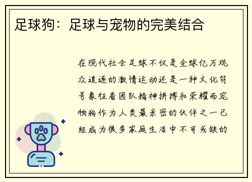 足球狗：足球与宠物的完美结合