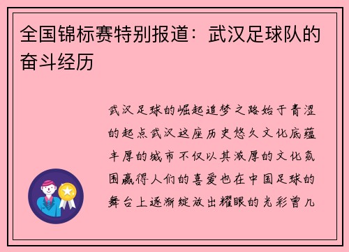全国锦标赛特别报道：武汉足球队的奋斗经历
